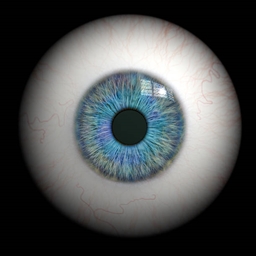 Visions project image