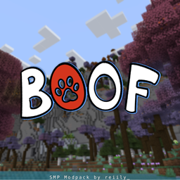 BoofSMP project image