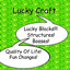 Luck Craft logo