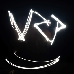VRP-LAN project image