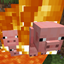 PigsPigsPigs logo