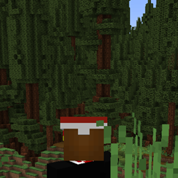 ReallerMC project image