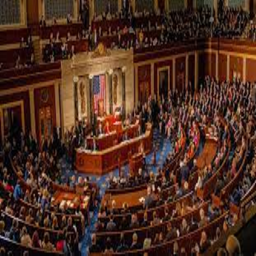 The Bicameral Legislature