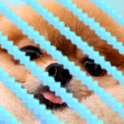 Return to the Pomeradius project image