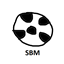 Soccer Ball logo