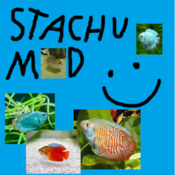 Stachu logo