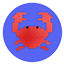Crab Origin logo