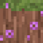 HastyPack logo