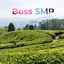 Boss SMP logo