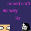 Minezone 30X6 logo