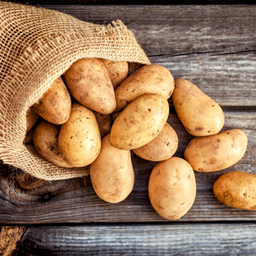 Potatica 6 logo