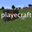 playcraft logo