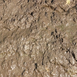 Mud pack logo