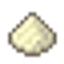 Starch logo