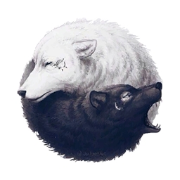 YnYWolf logo