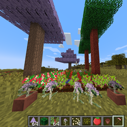 Thommas project image