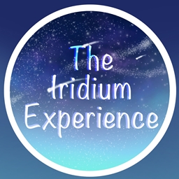 The Iridium Experience  logo