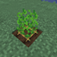 Wild vegetables logo