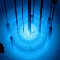 Maginox logo