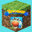 Township logo