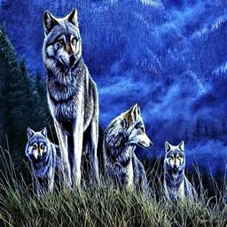 The Wolf Den Pack(discontenued ) project image