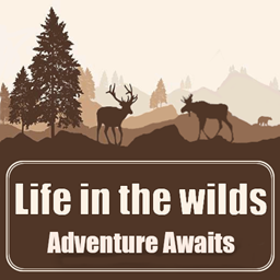Life in the Wilds Adventure Awaits project image