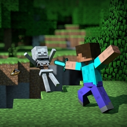 Steamification project image
