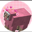 VeraCraft logo
