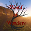World of Wonders (Fabric) logo