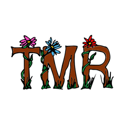 The Medieval Realm project image