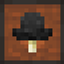 Survive with Mushrooms logo
