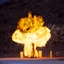 Destroy The World logo