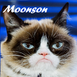 Moonson