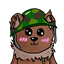 BCA Server pack logo