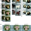 funny monkey pack logo