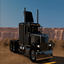PETERBILT 389 MODIFIED logo