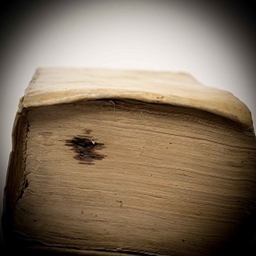 RottenBooks logo