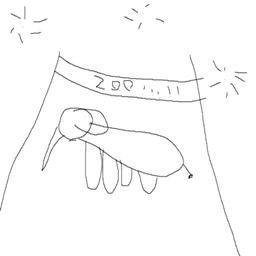 Zoo's Expanded logo