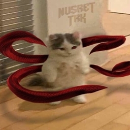 Snirv's All For NotCraft logo