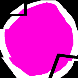 Dokis logo
