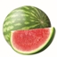 Watermylon logo