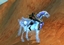 Celestial Steed Wing Whisper logo