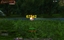 Ansi Combat Font logo