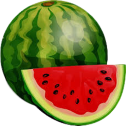 Melony logo