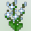 Athelas logo