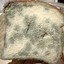 moldy bread multiplayer - 0024 logo