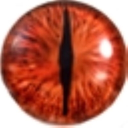 LFG Auto Refresh logo