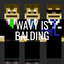 Wavy Is Balding logo