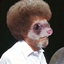 FerretPokePack logo