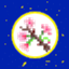 Kin-iro Flowers logo